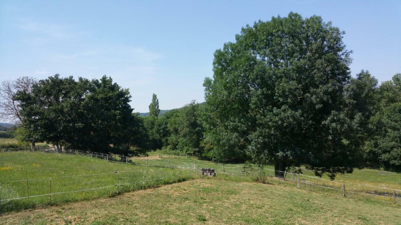 Gite Complex Near Mirepoix In The Pyrenees Limbrassac Exterior photo